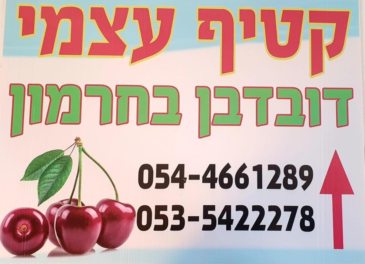 צימרים בגולן דובדבן בחרמון Mas'ada Eksteriør bilde